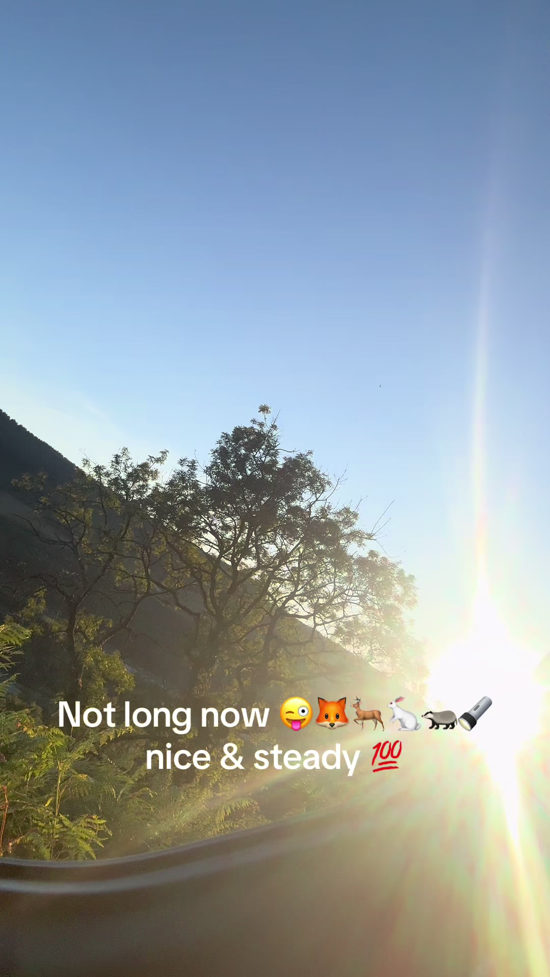 @phatz1990