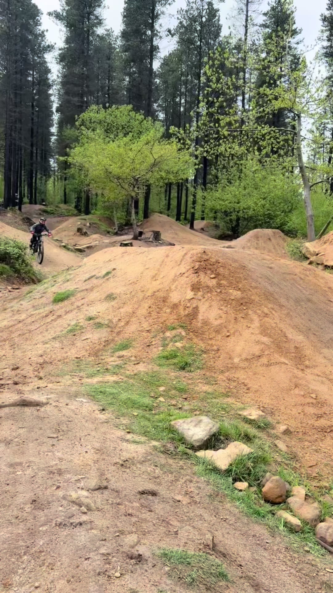 @Steezy Steve 🚵🏴