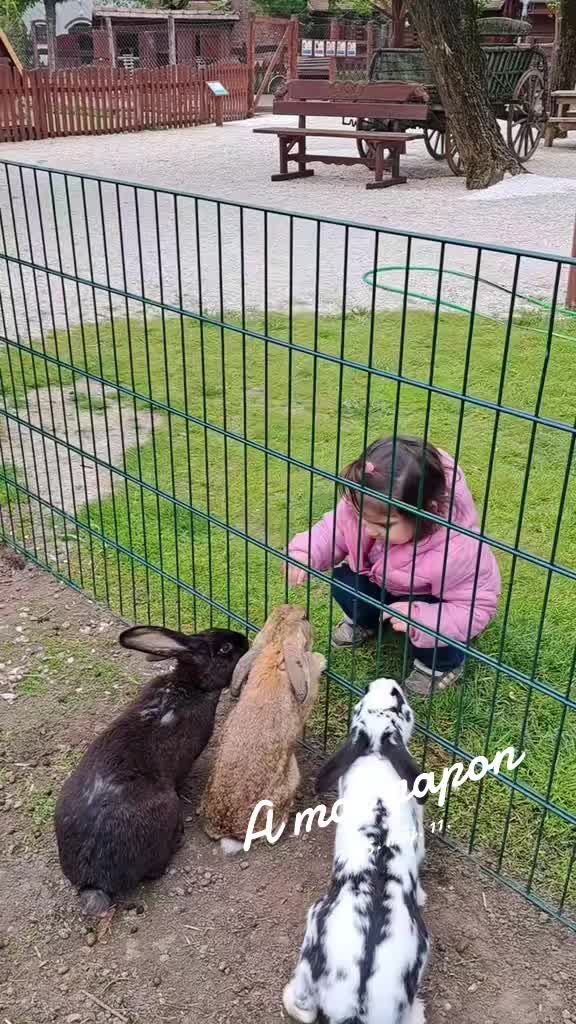 @V&aacute;radi D&aacute;vidn&eacute; (Ditta)