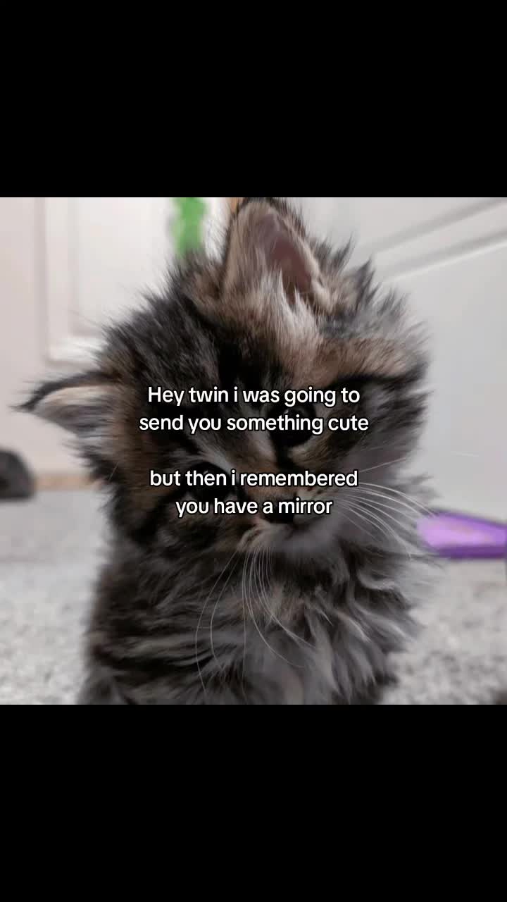 @Seasoned_Fries
