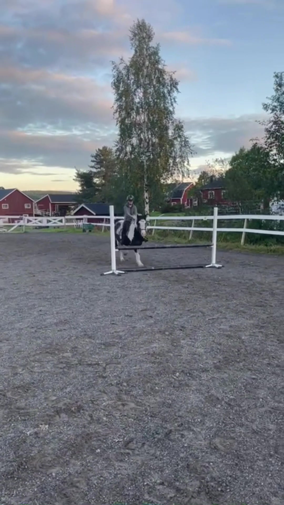 @kerstin🐴