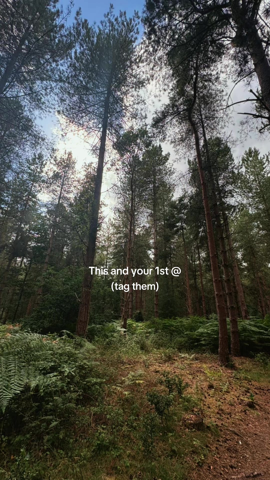 @ᛉ_𝖘𝖚𝖒𝖒𝖎𝖙𝖘𝖊𝖊𝖐𝖊𝖗_ᛉ