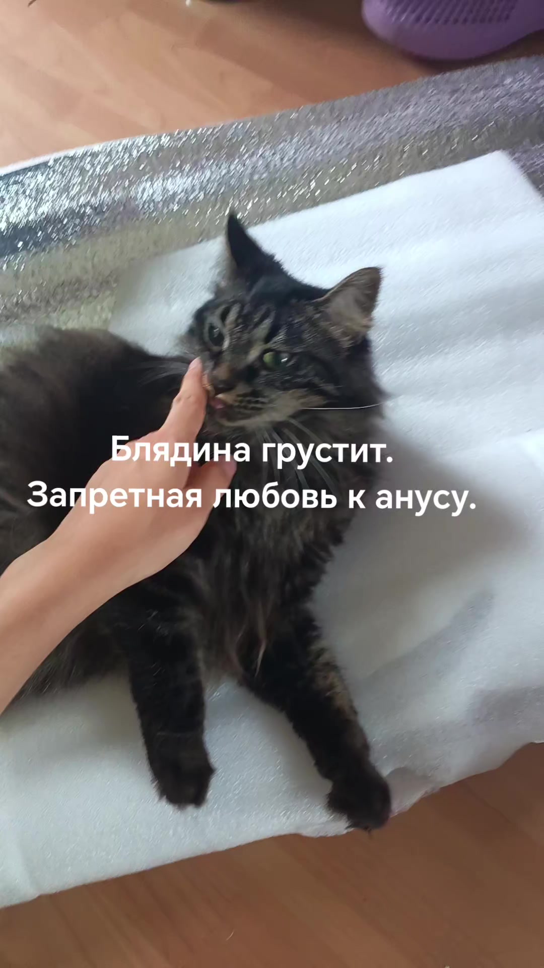 @amusleninblyadina