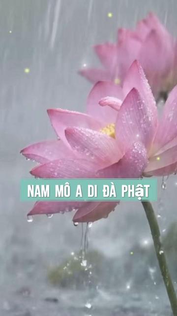 @Huyen NGH
