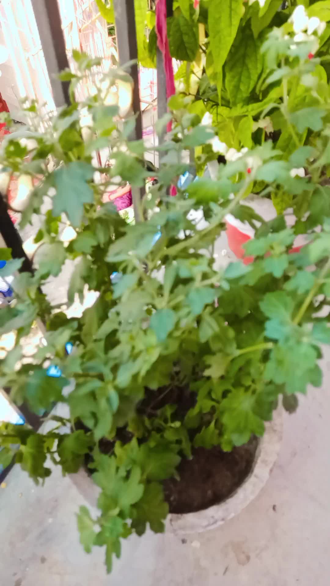 @Rêshmëë🦋❣️🧿