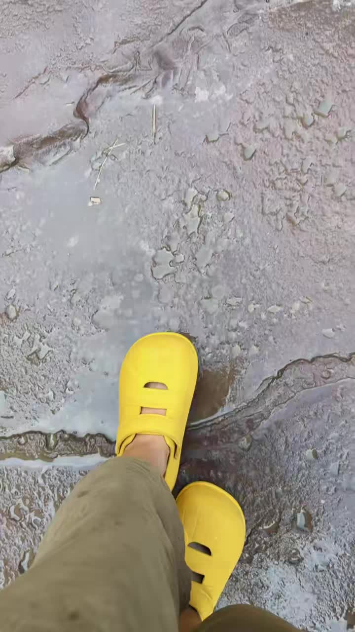 @—Z 🧸♡