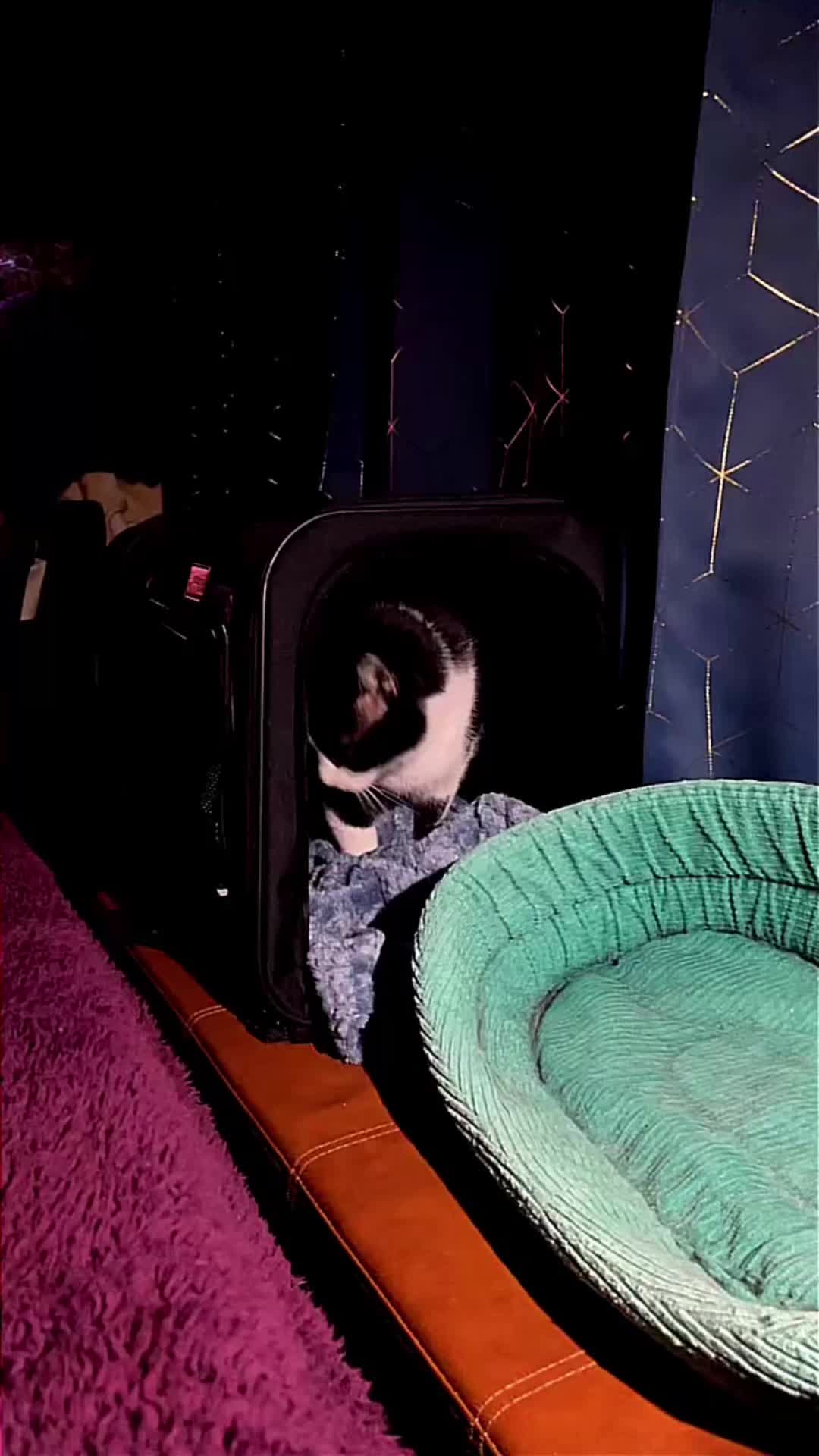 @MoonMission🌔💫