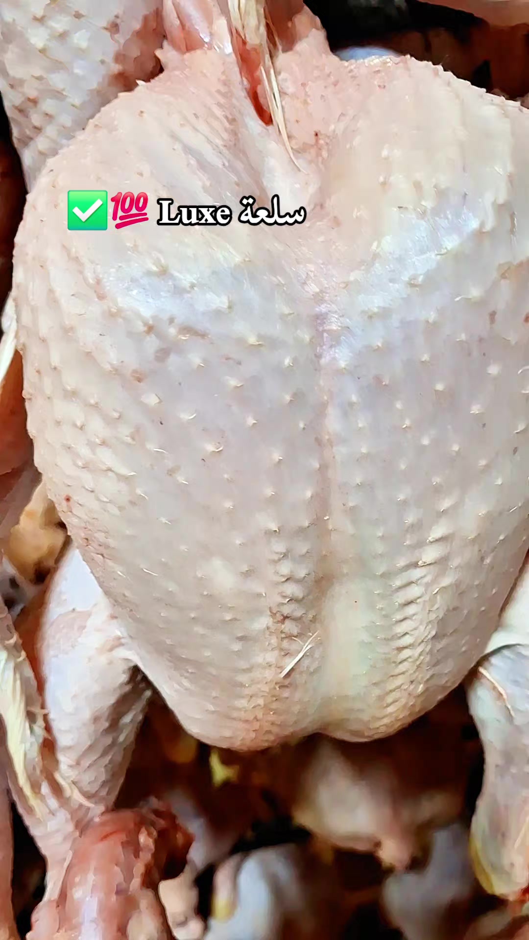 @مُسْـ☪ـلـم | 𝑴𝑼𝑺𝑳𝑰𝑴  ✪