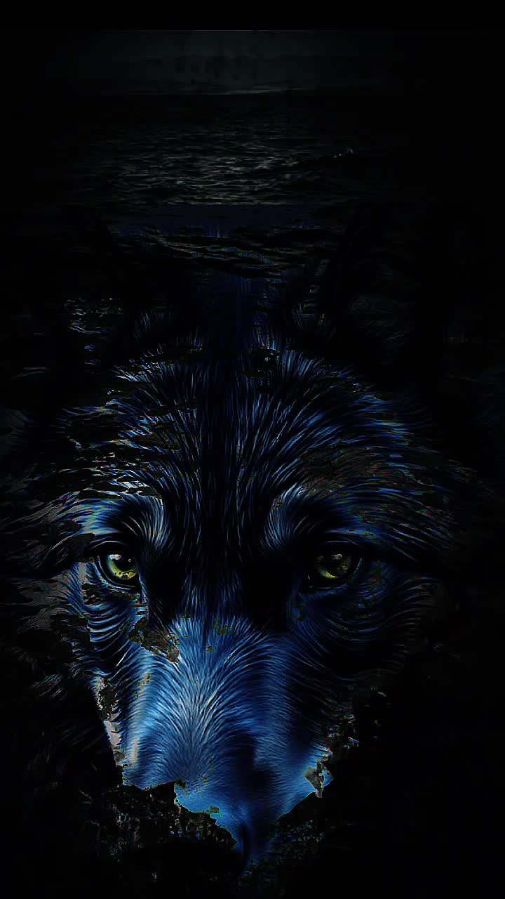 @💜WOLFOREVER 🐺☮️