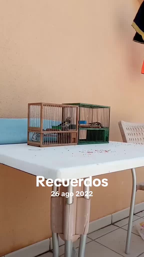 @AviarioAS