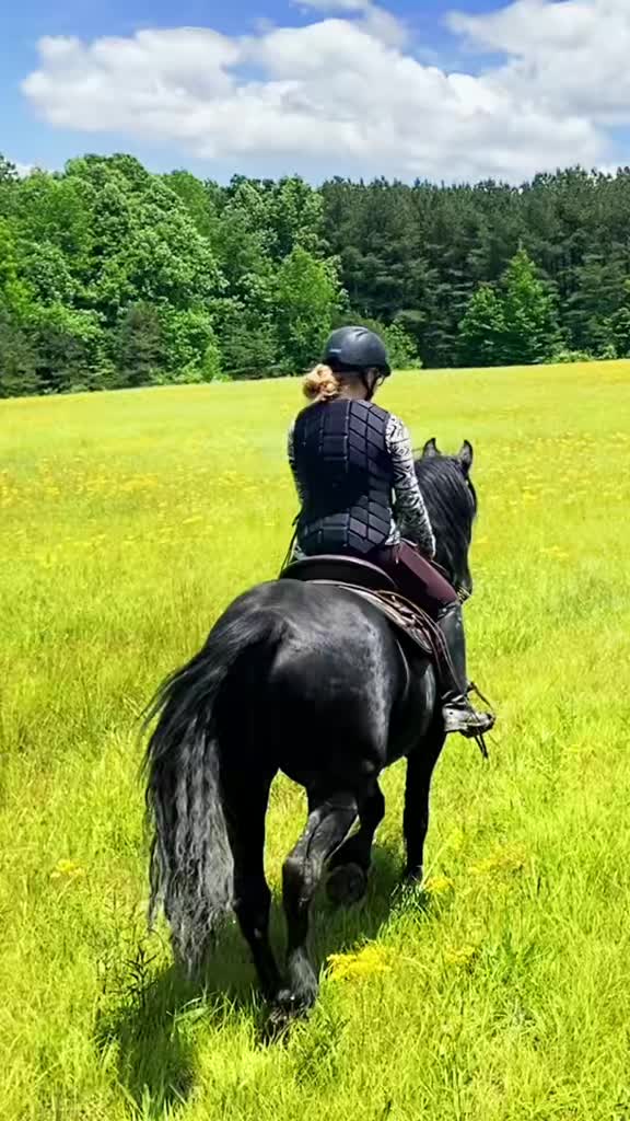 @Free Spirit Equestrian