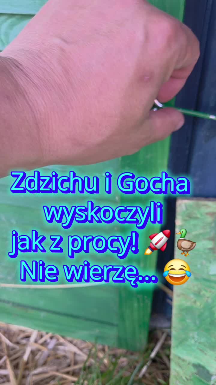 @@Kilarski.Prime