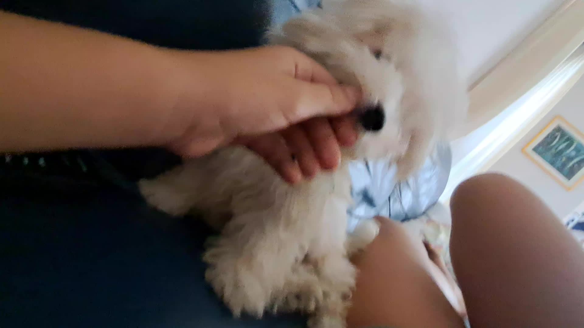 @ioleeeeee