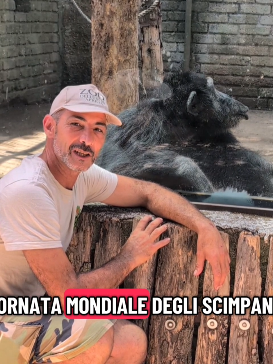 @Parco Zoo delle Star