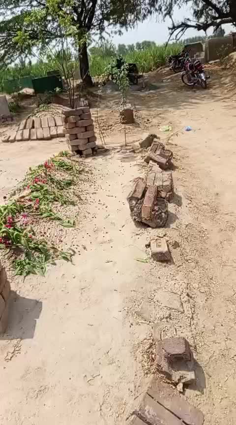 @shahidali_5911
