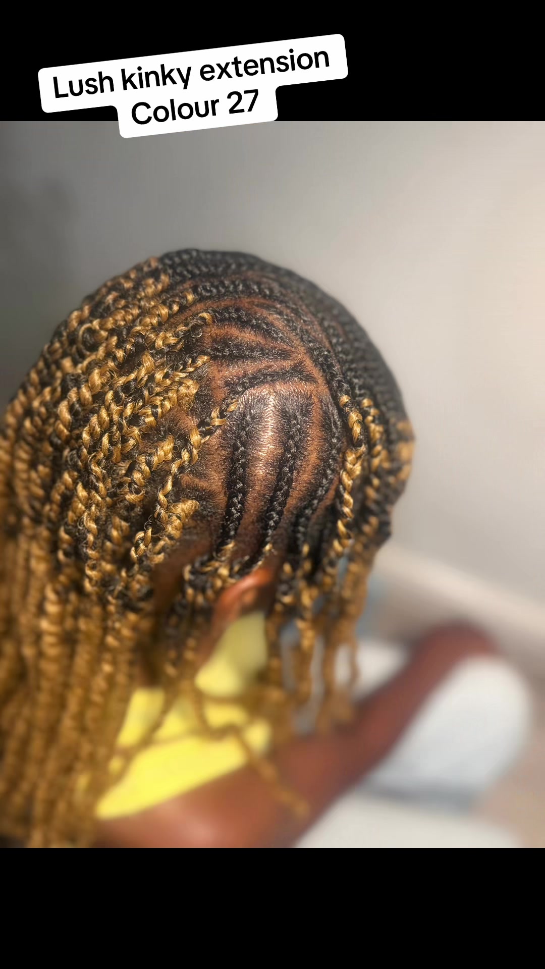 @Edinburghbraider01