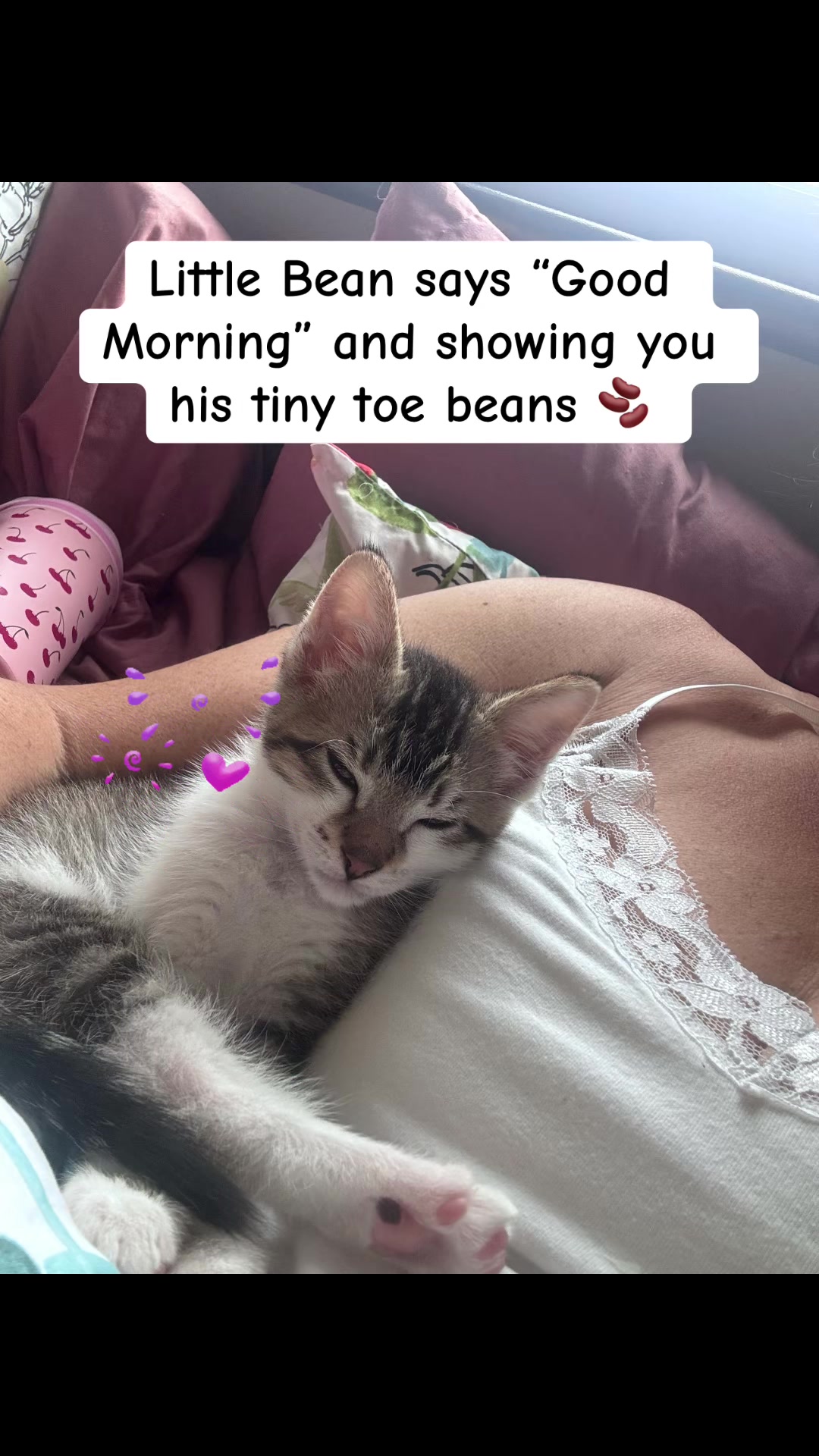 @KittysKreationsBoutique