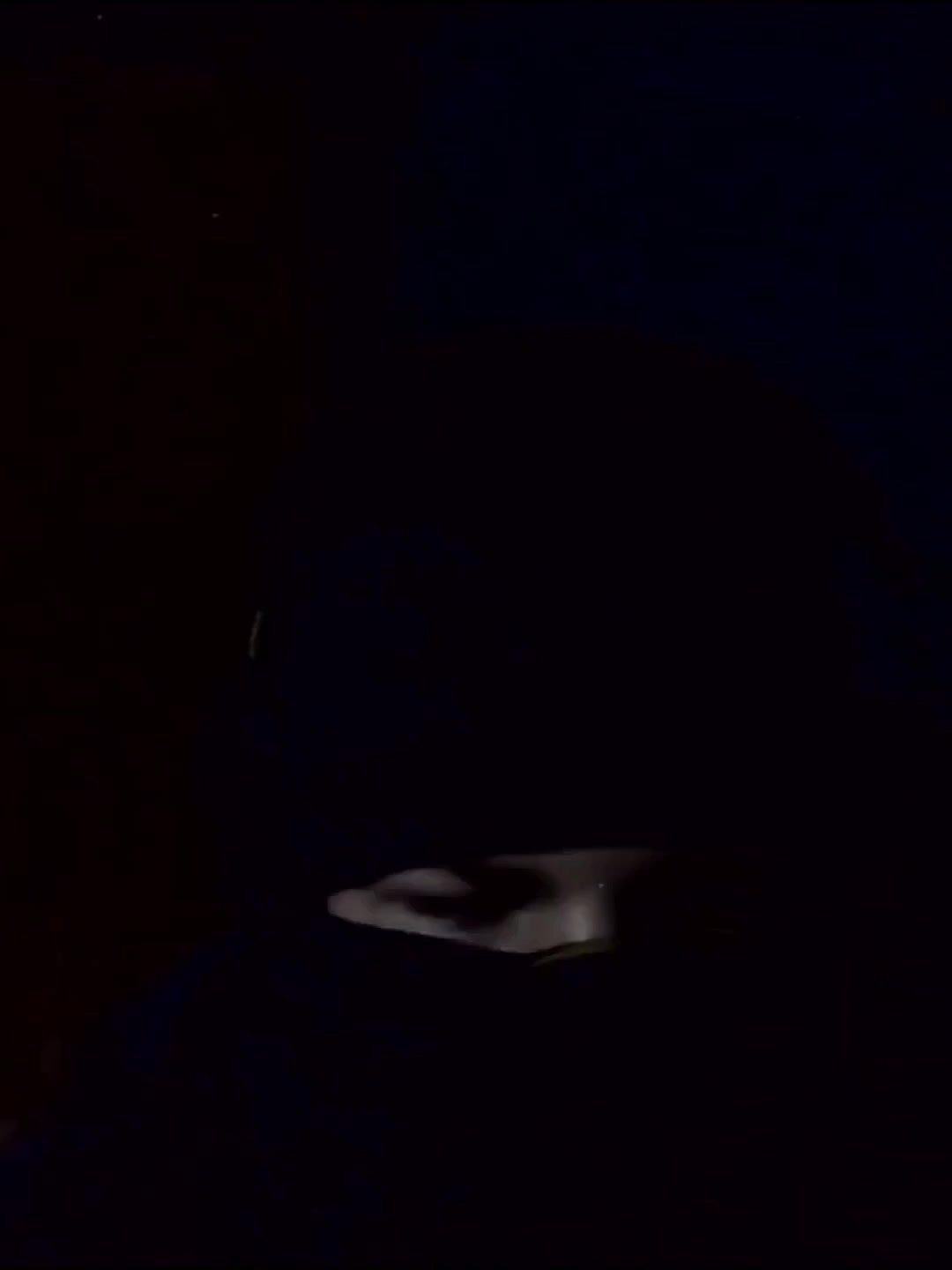 @◇ TA ◇