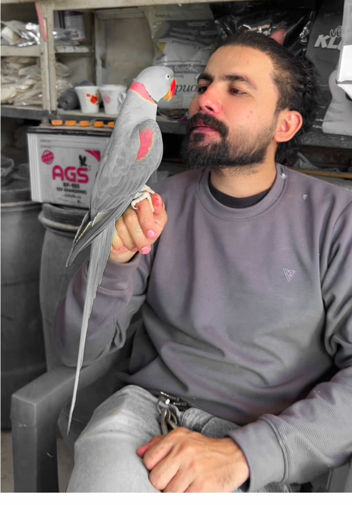 @Usama pet shop Karachi