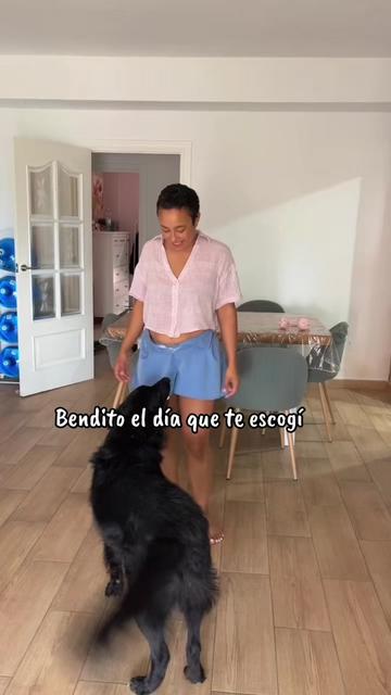 @Luiggi the Dog
