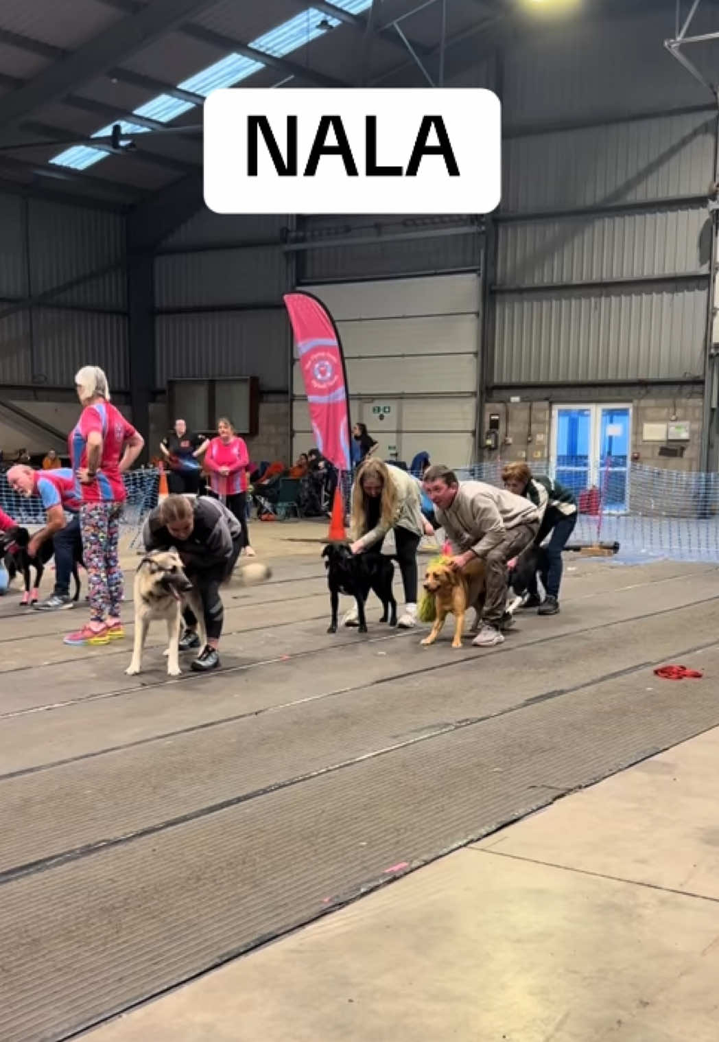 @Pawsitivity Flyball Team