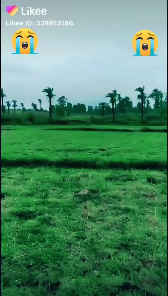 @Manish Saini Saini