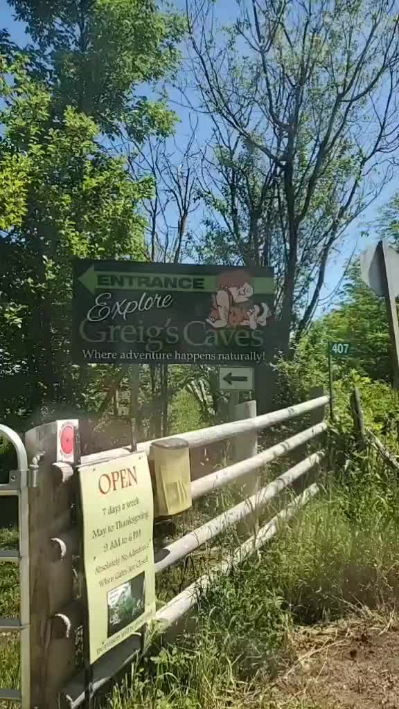 @Alice Wild