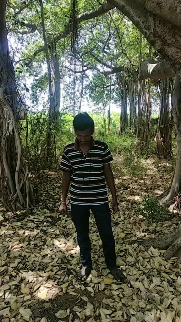 @Dinesh Abi