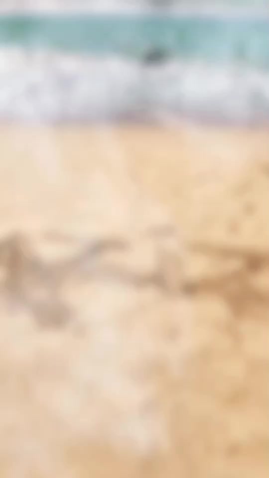 @Gonyalı