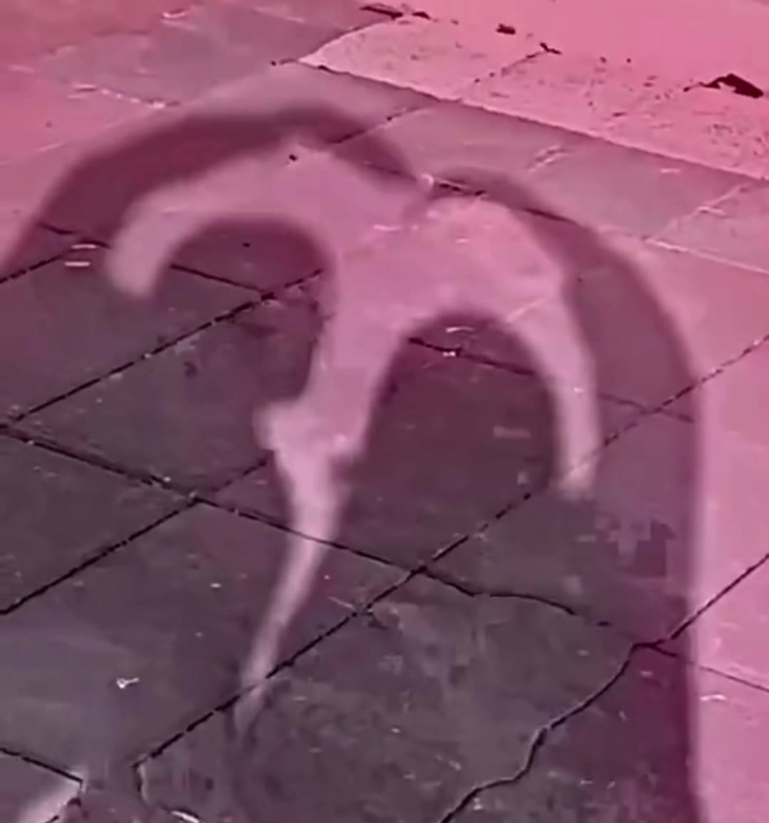 @عین۔الف