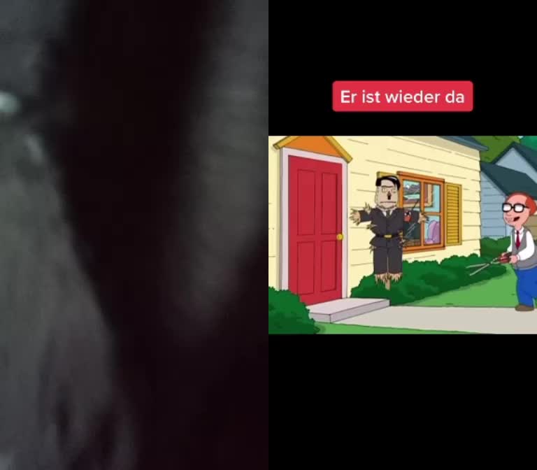 @dorfkinder844