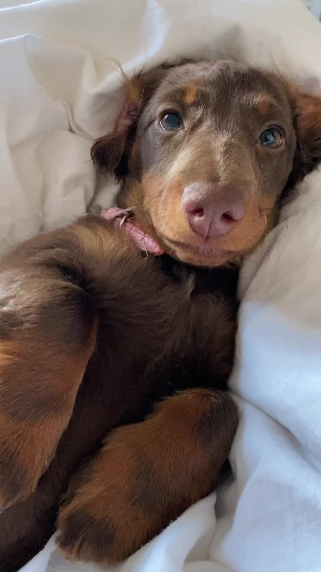 @billieandblu