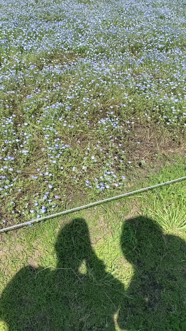 @千璃