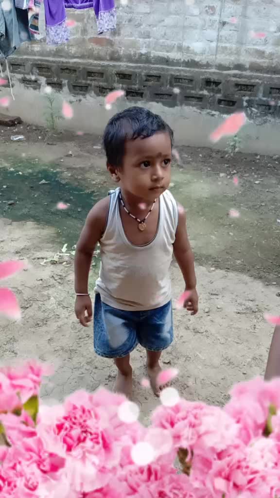 @user345578534732