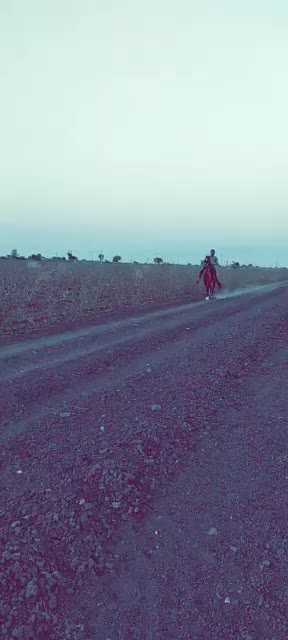 @vishvajit_sinh_9