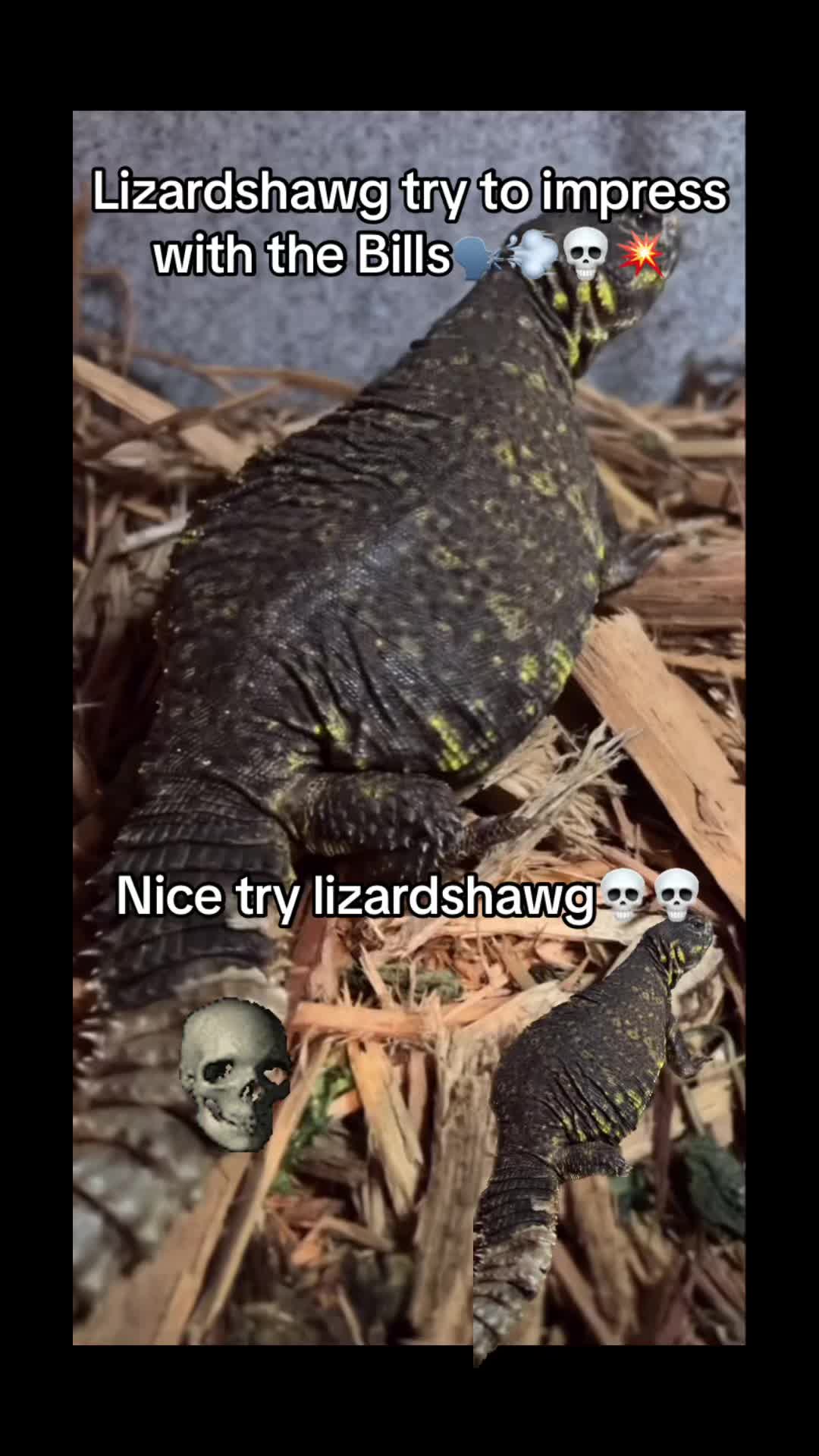 @NoCode_12