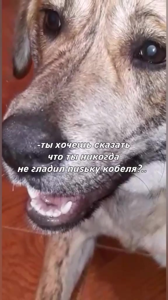 @Тигрёнок🤫