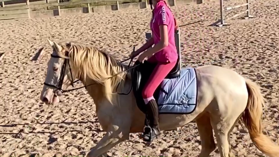 @🐴💎🥰
