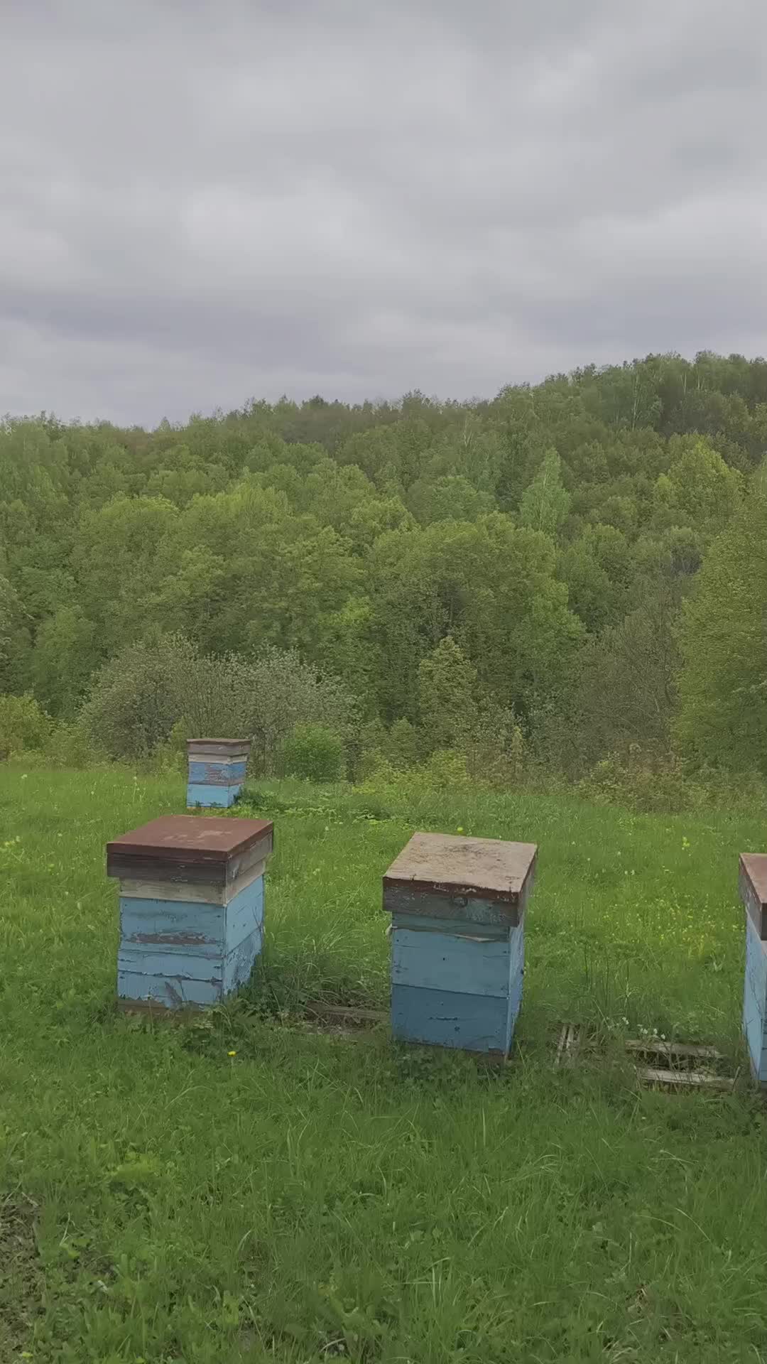 @Михаил Д&euml;ров