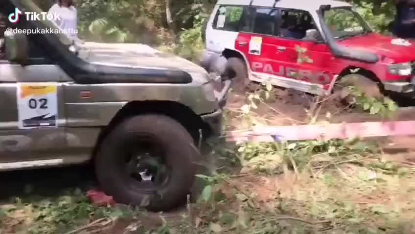@Ameerkn7