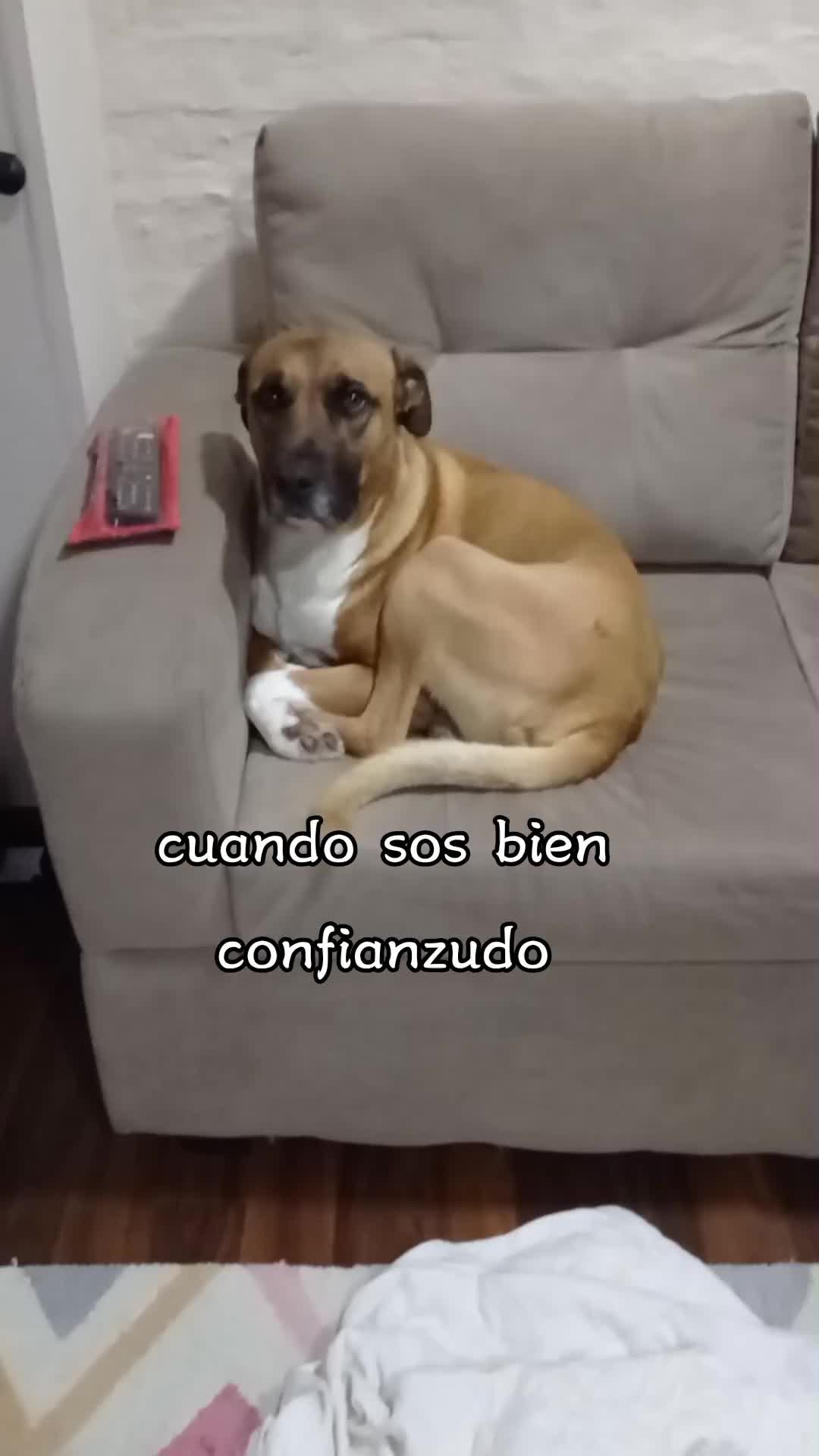 @nati.rey