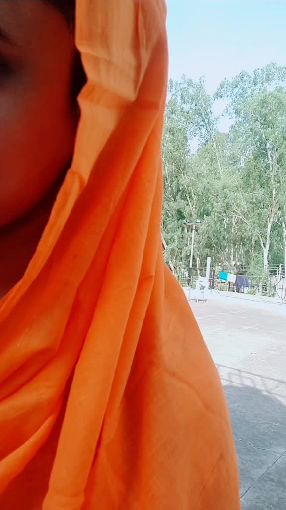 @PanDiT ji