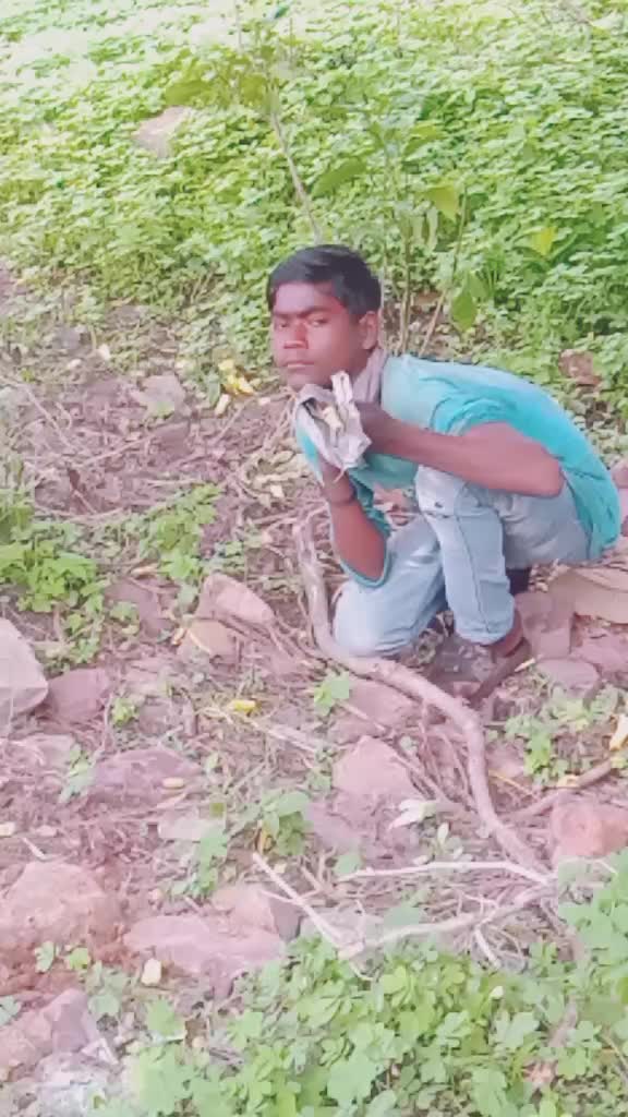 @Kapil Rekwar