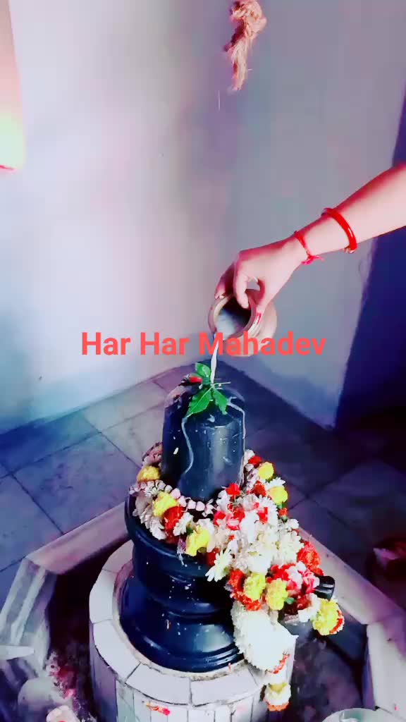 @DolaBhattacharya