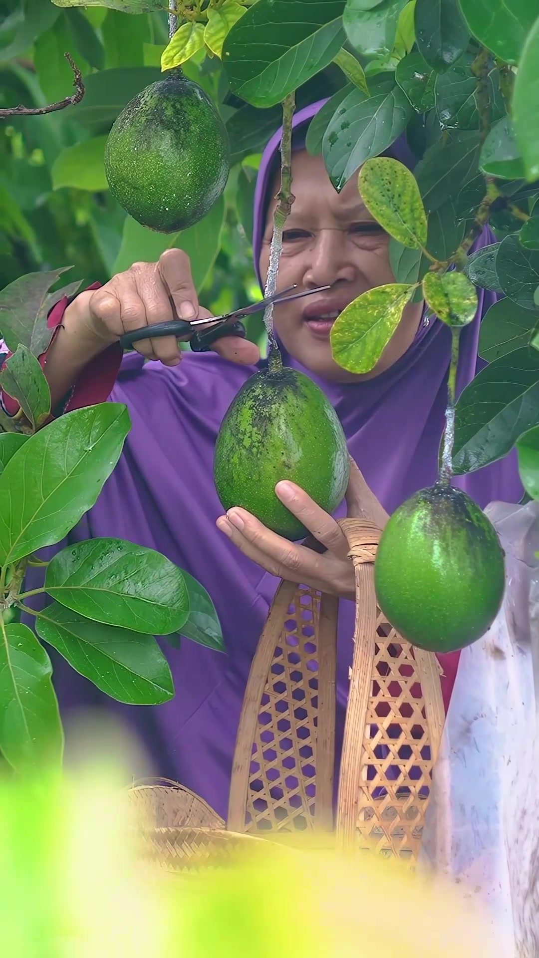 @Kampung Halaman Official