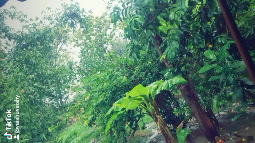 @Vaishu Vaishy