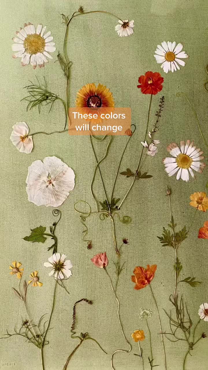 @Julia Whitney Barnes