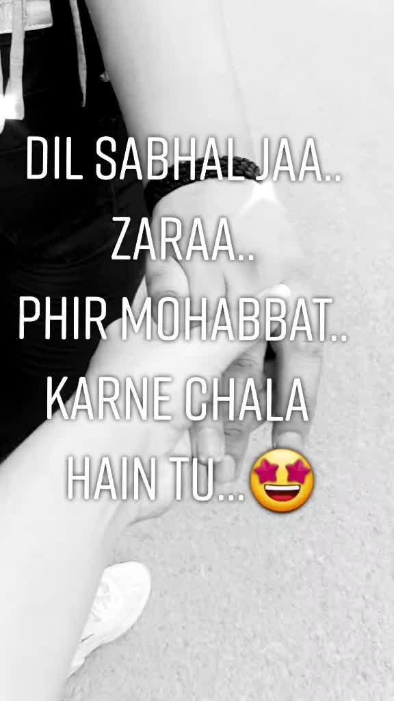 @jungli billi 🙀😻