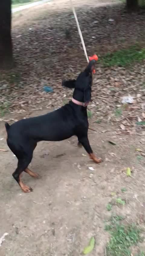 @user401762011496