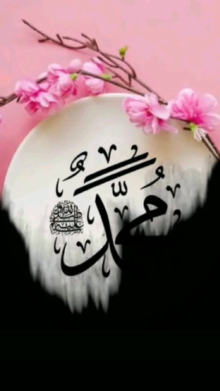 @💖 Sunni Queen 💖